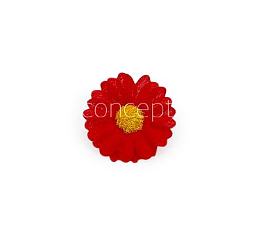 Red Daisy Flowers