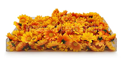 Yellow with Orange Daisy Flowers