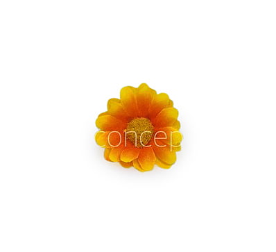 Yellow with Orange Daisy Flowers