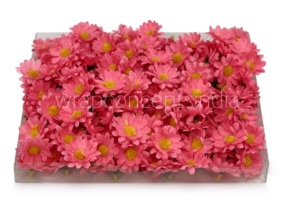 Bubble Gum Pink Daisy Flowers Bubble Gum Pink Daisy Flowers