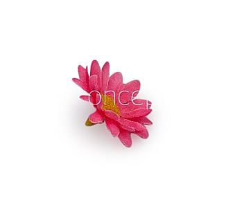 Bubble Gum Pink Daisy Flowers Bubble Gum Pink Daisy Flowers