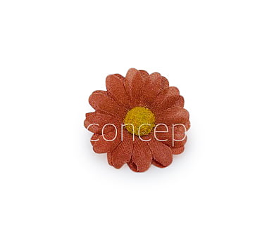 Cherry Wood Daisy Flowers