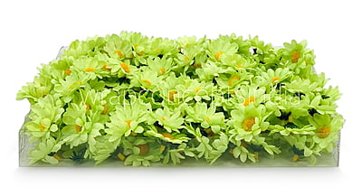 Lime Green Daisy Flowers Lime Green Daisy Flowers