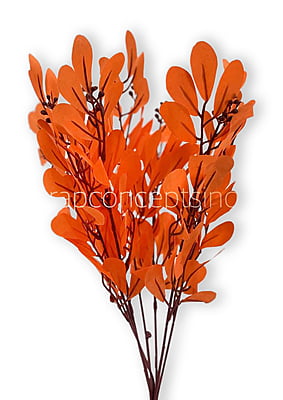 Tangerine Leaves Stick Bunch