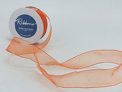 Emerald Green Sheer Ribbon with Wired Edges