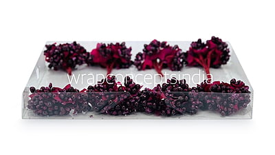Ruby Pollens
