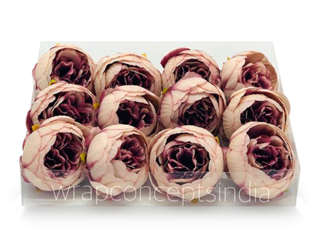 Peony - Blush with hints of Burgundy Peony - Blush with hints of Burgundy