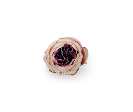 Peony - Blush with hints of Burgundy Peony - Blush with hints of Burgundy