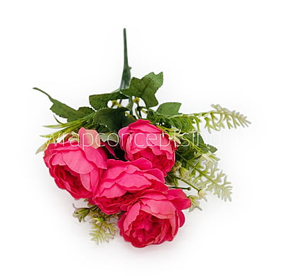Medium Peony Bunch