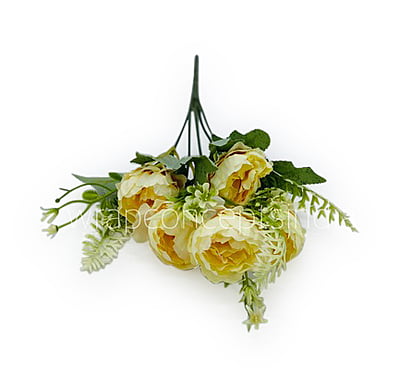 Medium Peony Bunch