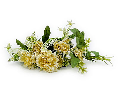 Dahlia Flower Bunch