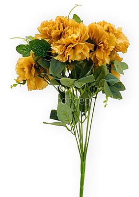 Carnation Bunch Tall Carnation Bunch Tall