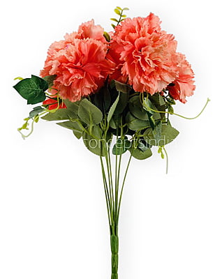 Carnation Bunch Tall Carnation Bunch Tall