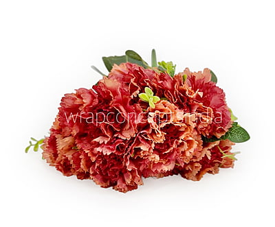 Carnation Bunch Tall Carnation Bunch Tall