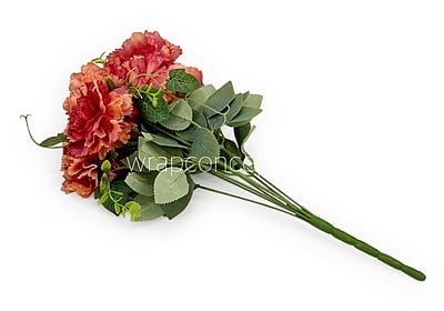 Carnation Bunch Tall Carnation Bunch Tall
