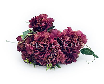 Carnation Bunch Tall Carnation Bunch Tall