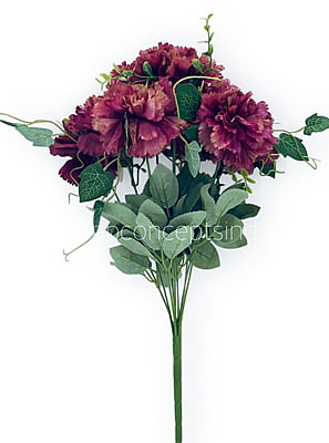 Carnation Bunch Tall Carnation Bunch Tall