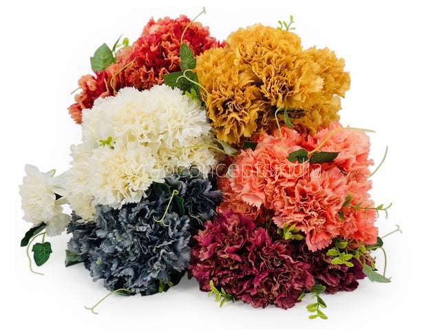 Carnation Bunch Tall Carnation Bunch Tall