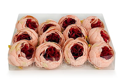 Peony - Peach with Brick Red