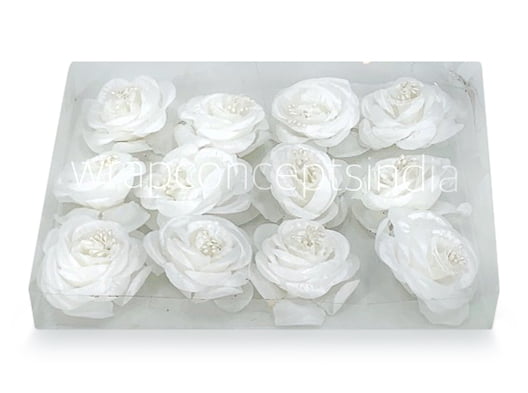 Rose Flower-White Rose Flower-White