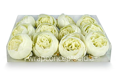 Peony - Ivory