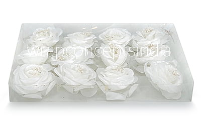 Rose Flower-White Rose Flower-White