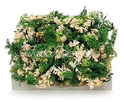 Green Fern Leaves with Lt. Peach Edges