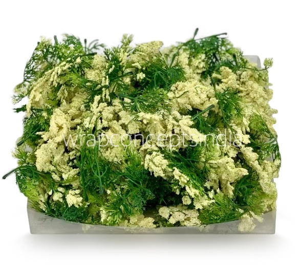 Green Fern Leaves with Cream Edges