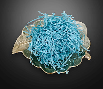 Paper Grass - Blue