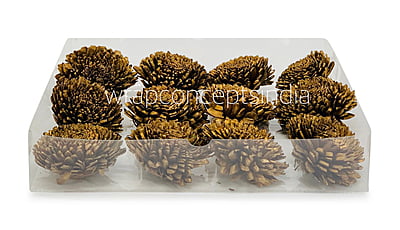 Dull Gold Sola Wood Zinnia Dull Gold Sola Wood Zinnia