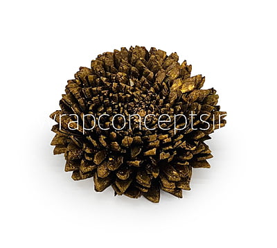 Dull Gold Sola Wood Zinnia Dull Gold Sola Wood Zinnia