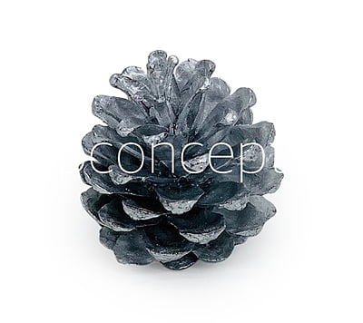 Silver Pine Cones Silver Pine Cones