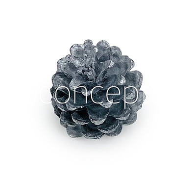 Silver Pine Cones Silver Pine Cones