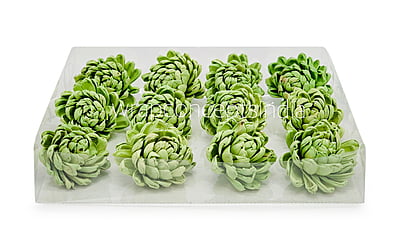 Soft Green Sola Wood Lillian Soft Green Sola Wood Lillian