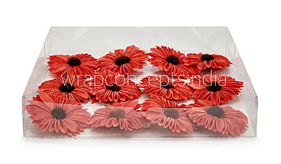 Red Sola Wood Gerberas