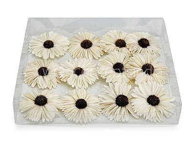 Natural Sola Wood Gerberas