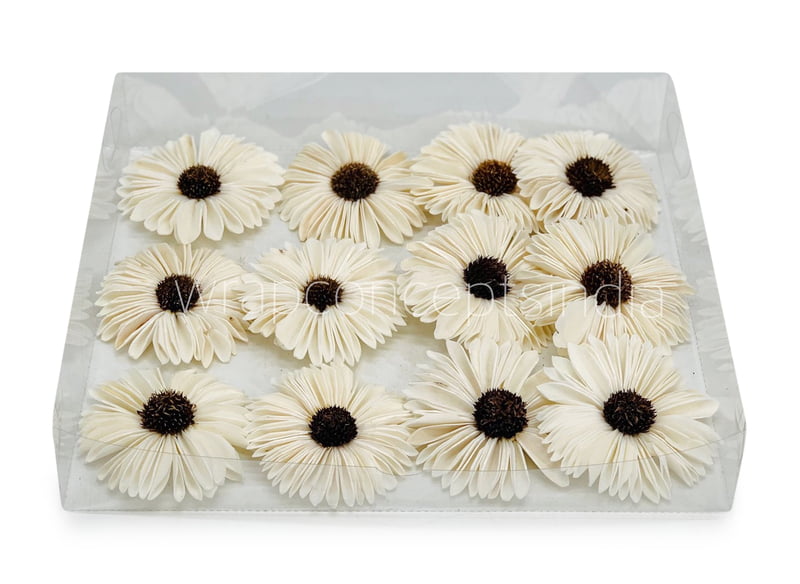 Natural Sola Wood Gerberas Natural Sola Wood Gerberas