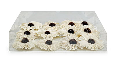 Natural Sola Wood Gerberas Natural Sola Wood Gerberas