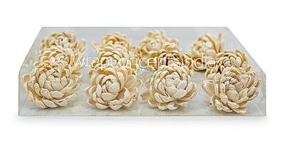 Natural Sola Wood Lillian Natural Sola Wood Lillian