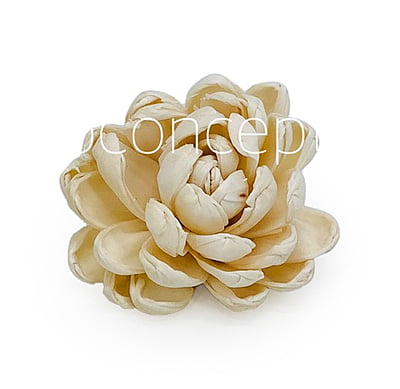Natural Sola Wood Lillian Natural Sola Wood Lillian