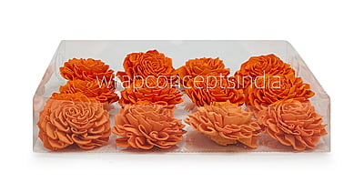 Orange Sola Wood Dahlia Orange Sola Wood Dahlia