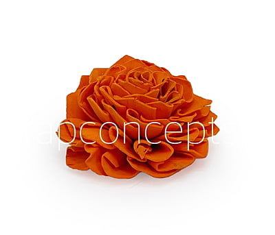 Orange Sola Wood Dahlia Orange Sola Wood Dahlia
