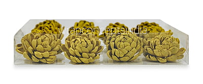 Olive Sola Wood Lillian Olive Sola Wood Lillian
