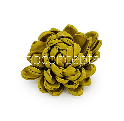 Olive Sola Wood Lillian Olive Sola Wood Lillian