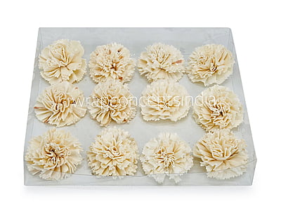 Natural Sola Wood Carnation
