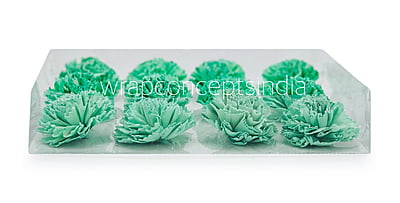 Seafoam Sola Wood Carnation Seafoam Sola Wood Carnation