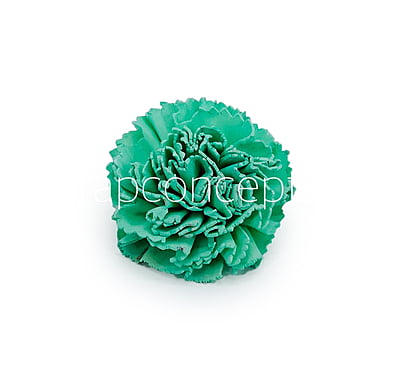 Seafoam Sola Wood Carnation Seafoam Sola Wood Carnation