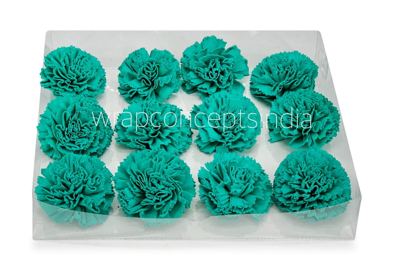 Cyan Sola Wood Carnation Cyan Sola Wood Carnation