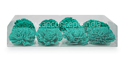Cyan Sola Wood Carnation Cyan Sola Wood Carnation