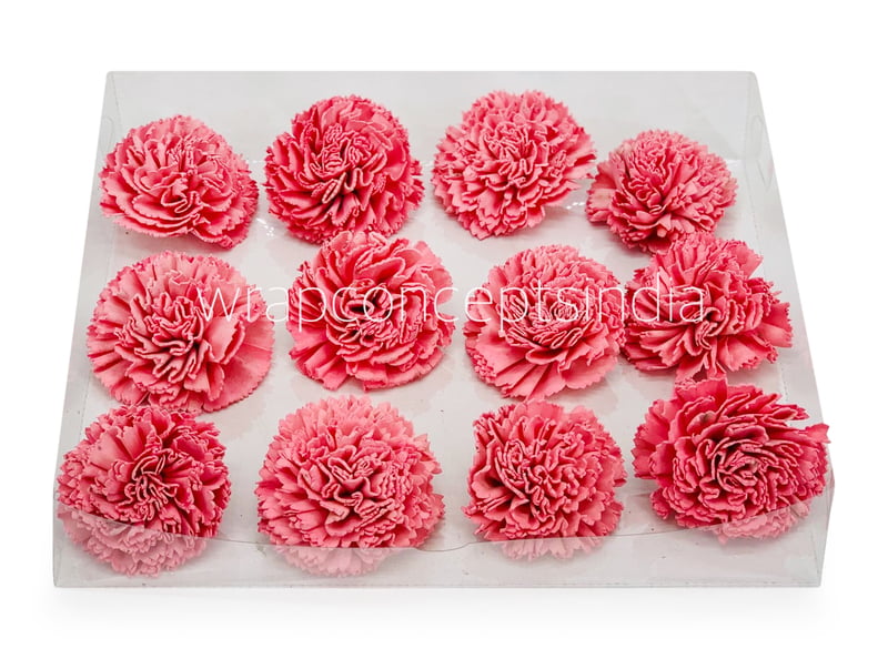 Peachy Pink Sola Wood Carnation Peachy Pink Sola Wood Carnation